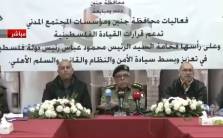 رجب: اعتقال 247 من "الخارجين على القانون" في مخيم جنين