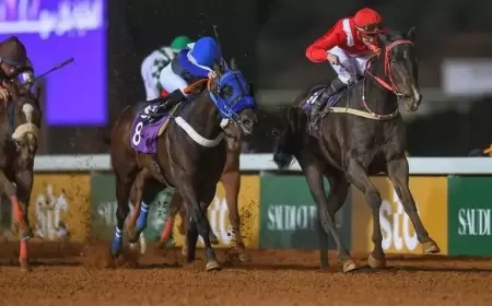 كأس السعودية.. نخبة من خيول "الفئة الأولى" تشارك في السباق الأغلى