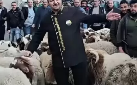 مأساة "وليمة" الجامع الأموي.. من هو الشيف أبو عمر الدمشقي؟