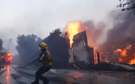 ارتفاع حصيلة ضحايا حرائق لوس أنجلوس إلى 24