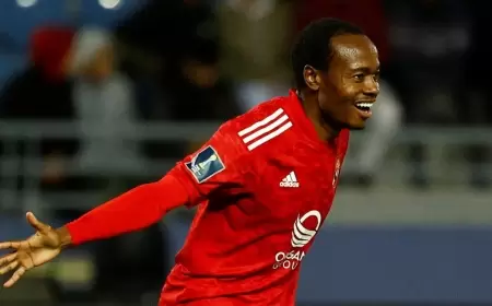 رسمياً.. الأهلي يعلن رحيل بيرسي تاو