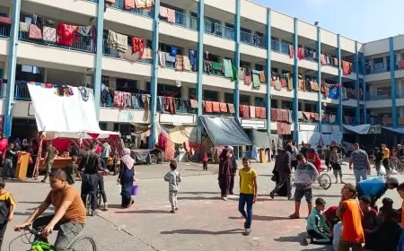 "التربية": 12,329 طالبا استُشهدوا و574 مدرسة وجامعة تعرضت للقصف والتخريب والتدمير منذ بداية العدوان