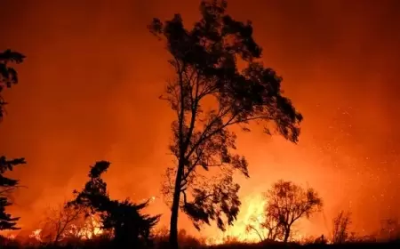 تحذير لسكان لوس أنجلوس ومحيطها بسبب احتمال عودة الرياح العاتية