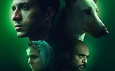 منتجا "رامبو" يكشفان.. كواليس تصوير الفيلم وكيف تدرب الفنانون على التعامل مع الكلاب