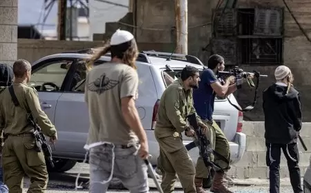 المستعمرون يواصلون ارهابهم في قلقيلية ويهاجمون مركبات المواطنين قرب جيت