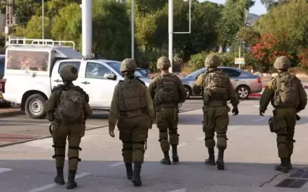 مصدر: سبعة من عناصر حزب الله في قبضة إسرائيل