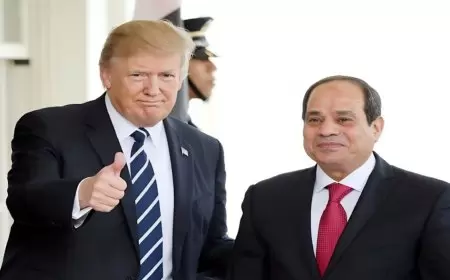 مصدر مصري ينفي حدوث اتصال هاتفي بين ترامب والسيسي