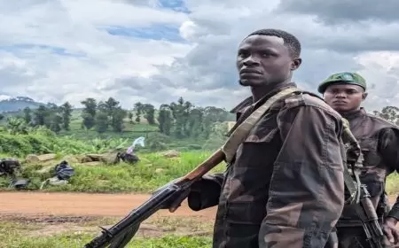 المتمردون المدعومون من رواندا يتقدمون في شرق الكونغو وسط تقارير عن جرائم إعدام واغتصاب