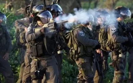 الاحتلال يطلق قنابل الصوت صوب المواطنين في بيتونيا