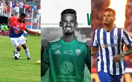 غالينو الأهلي.. "مزارع" أراد السير على خطى جزائري