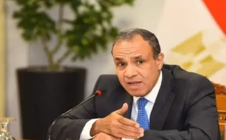 وزير الخارجية المصري: لن تنعم المنطقة بالسلام ما لم تقم دولة فلسطين