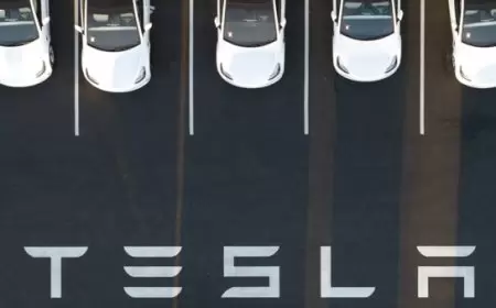 تصريحات ماسك تدفع أسهم "تسلا" للارتفاع... نماذج أرخص وخدمة ذاتية القيادة مقبلة