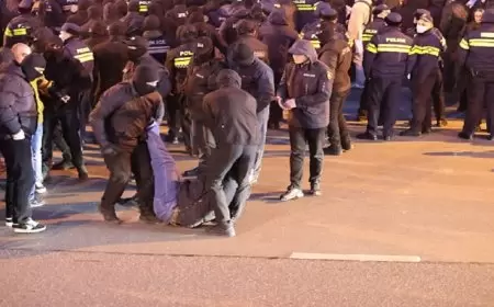 مفوضة الخارجية الأوروبية تدين اعتقال المحتجين في جورجيا