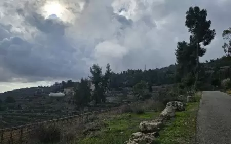 حالة الطقس: ارتفاع طفيف آخر على درجات الحرارة