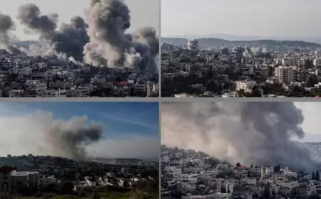 مع دخول عدوان الاحتلال على جنين ومخميها يومه الـ14: 25 شهيدا واصابات واعتقالات ونسف عشرات المنازل وسط نزوح قرابة 15 ألف مواطن