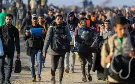 "الأغذية العالمي": الاحتياجات الإنسانية هائلة مع عودة النازحين إلى الشمال