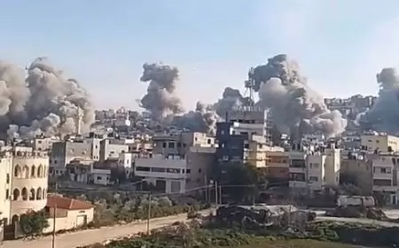 15 يومًا من العدوان والقتل والتدمير في جنين ومخيمها