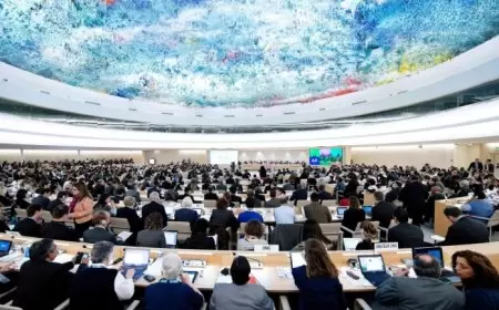 إسرائيل تنسحب من مجلس حقوق الإنسان