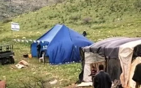 مستعمرون يقيمون بؤرة استعمارية جديدة بالأغوار الشمالية