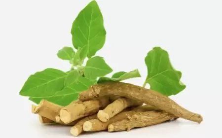 تحذير حيال مستحضرات ‫الأشواغاندا