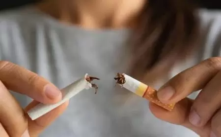 سياسة الحد من المخاطر المبتكرة.. هل تقدم السويد مفتاح نيجيريا لمستقبل أكثر أمانا؟