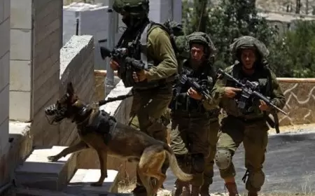 الاحتلال يداهم منازل المواطنين في مخيم الفارعة