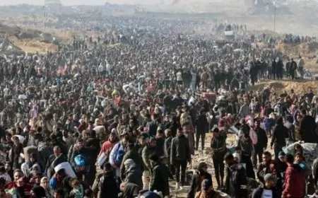 هل تراجعَ ترمب عن "ريفييرا الشرق"؟.. الخطة ليست قدراً.. هجمة مرتدة كفيلة بإجهاضها