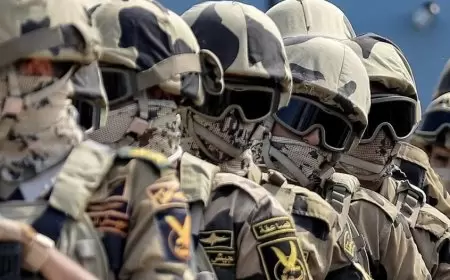 مفكر مصري يهاجم تصريحات ترامب ويدعو لرد قوي: "لتذهب المعونة الأمريكية إلى الجحيم"