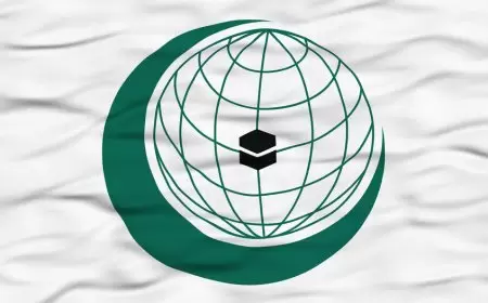 القاهرة تعلن عن اجتماع طارئ لمنظمة التعاون الإسلامي يلي القمة العربية مباشرة