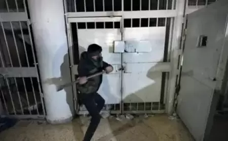 ناجون من سجن "صيدنايا" يؤسسون "رابطة معتقلي الثورة السورية"