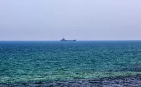 القيادة العسكرية الأمريكية الوسطى تشيد بخفر السواحل اليمني بعد ضبط شحنة أسلحة إيرانية