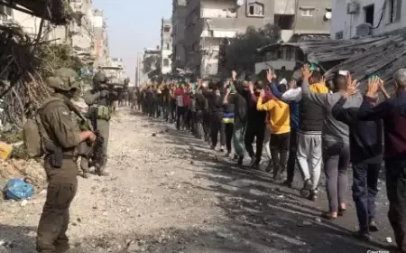 السيناتور غراهام: لا رغبة في الولايات المتحدة للسيطرة على غزة وإجبار أهلها على النزوح