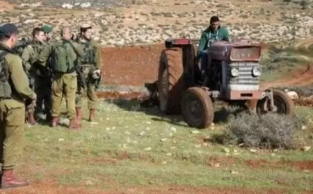 "الجدار والاستيطان": الاحتلال استولى على أكثر من 72% من الأراضي المصنفة "ج"