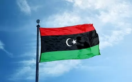 الاحتلال يشرع بهدم 14 منزلا في مخيم طولكرم - نادية عوفي : شاهدة عيان من مخيم طولكرم