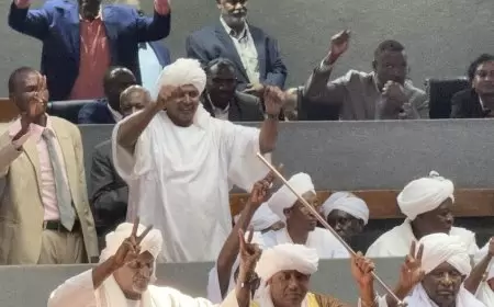 "رويترز": الإعلان عن تشكيل حكومة في مناطق سيطرة الدعم السريع بالسودان