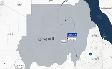 الجيش السوداني يسيطر على مدينة إستراتيجية جنوب الخرطوم