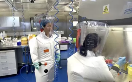 اكتشاف فيروس كورونا جديد لدى الخفافيش في مختبر صيني