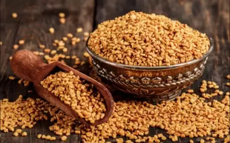 مشروب الحلبة.. كنز صحي مهمل في الشتاء