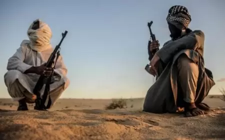 المغرب: اعتقال 12 شخصا للاشتباه في تخطيطهم لتنفيذ هجمات باسم داعش