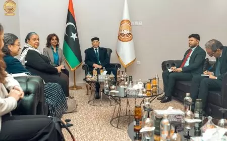 رئيس البرلمان الليبي يبحث مع المبعوثة الأممية تطورات الأزمة ونائبه يدعو لانتخابات عاجلة