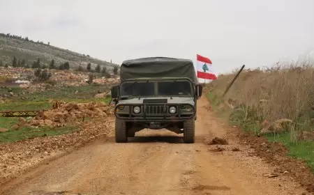 زرعهما الجيش الإسرائيلي جنوبي البلاد