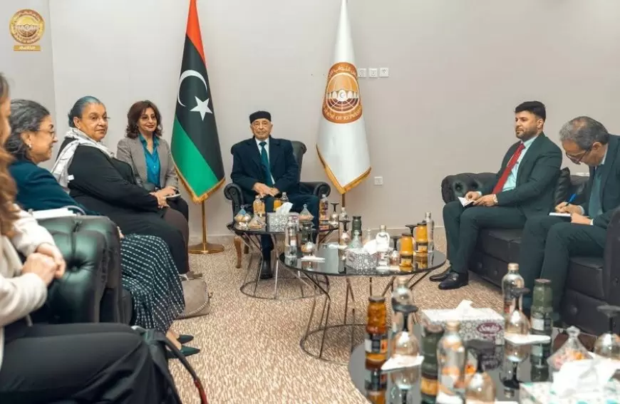 رئيس البرلمان الليبي يبحث مع المبعوثة الأممية تطورات الأزمة ونائبه يدعو لانتخابات عاجلة
