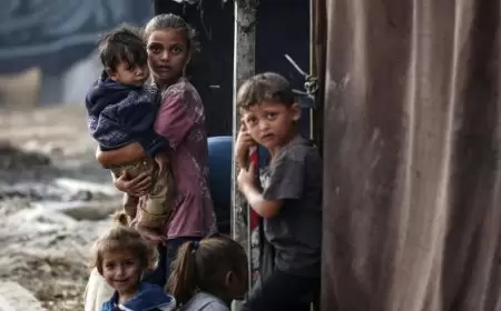 الحرب في غزة.. طفولة في الغارات والنزوح بدل "الزيتون"