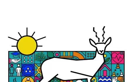 نمضي قدماً في رحلة الاستدامة ولمستقبل أخضر