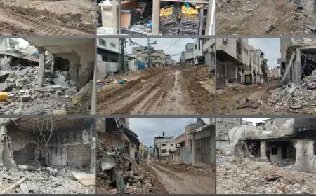 الرئيسية انتهاكات إسرائيلية   تاريخ النشر: 09/03/2025 10:05 ص لليوم الـ42: الاحتلال يواصل عدوانه على مدينة طولكرم ومخيميها ويصعد من التهجير وتدمير المنازل