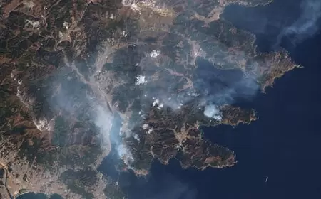 السيطرة على حريق غابات هو الأسوأ في اليابان منذ 50 عامًا