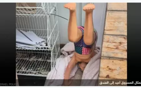 شرطة تل أبيب تستعيد تمثال بن غوريون "بملابس السباحة"