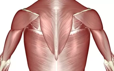علماء يطوّرون عضلات اصطناعية عبر الطباعة الثلاثية الأبعاد