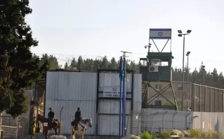 أبو الحمص يحذر من الأوضاع الكارثية للأسرى القصر في سجن مجدو