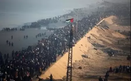 الرئيس الإندونيسي: مستعدون لاستقبال الجرحى والأيتام من غزة